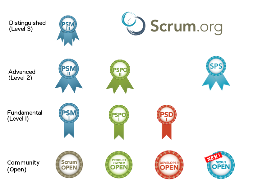 scrum org assessment pyramid 2 extra large