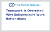 Teamwork Is Overrated Why Solopreneurs Work Better Alone