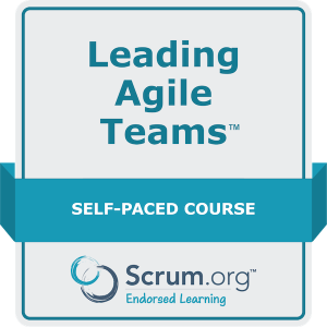 Leading Agile Teams Self-Paced Course
